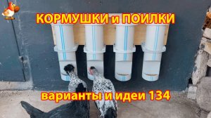 Кормушка курам бункерная на стену из труб и фанеры понравилась несушкам