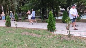 Абхазский двор - по дороге на оз.Рицца. Абхазия 2024. ресторан. прогулочная зона. кемпинг.