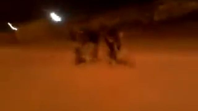 Операция По задержанию"СОБОР".flv смотреть онлайн