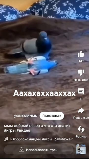 нифига он флексит смотреть онлайн