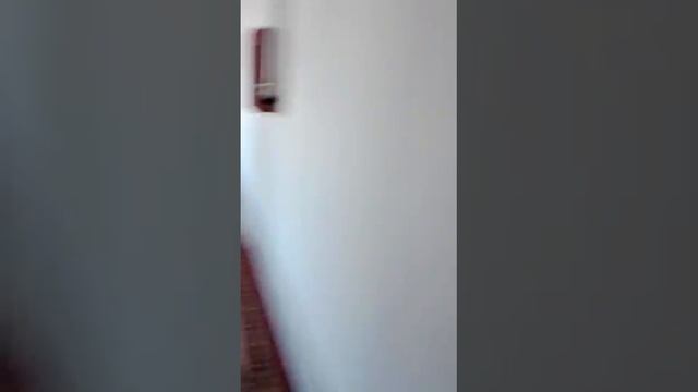 Шоманай Гагарин мектеп