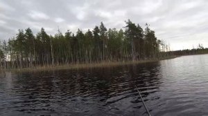 Рыбачим на лесном озере. часть1.