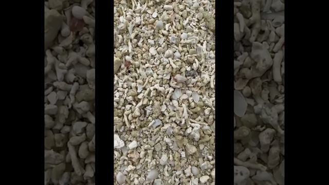 26 января 2023 г. смотреть онлайн