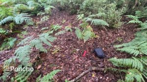 3 Tarp Poncho Setups with Hiking poles | Bivy Camping