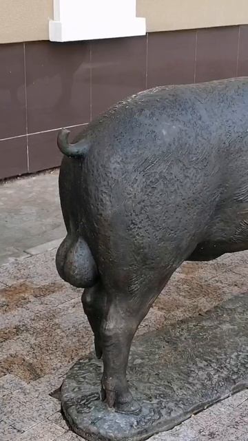 Томск. Экскурсия по Томску. Путешествие по России. смотреть онлайн