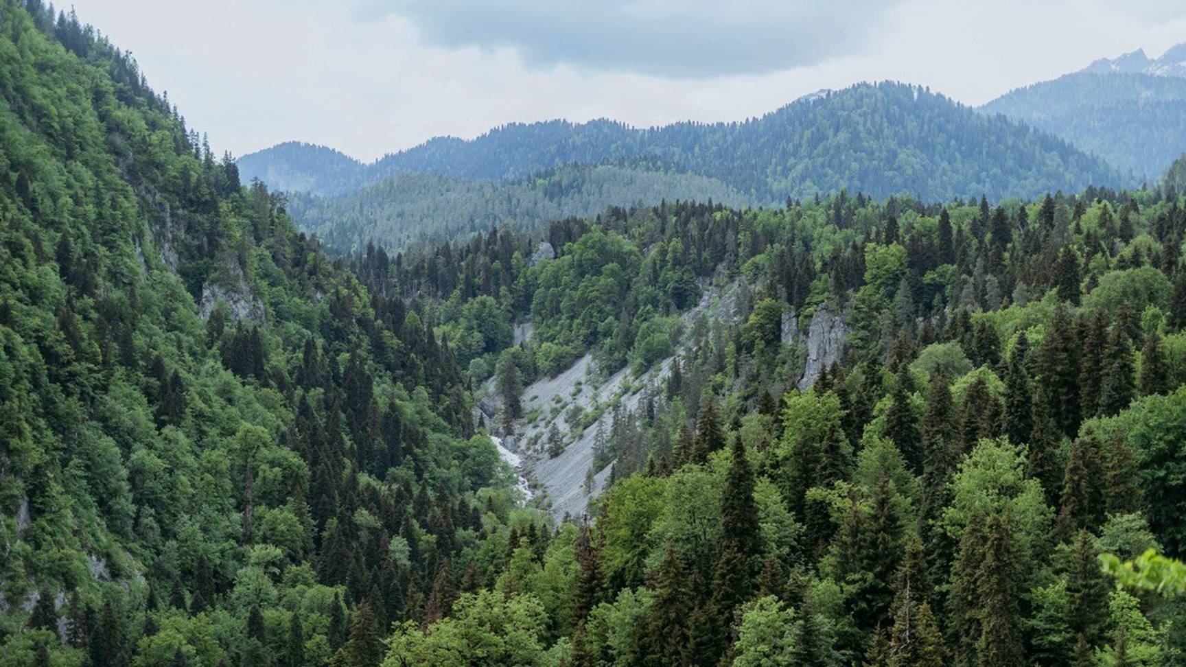 Насыщенный апрель 2025. Эфир VK от 23.04.2025