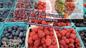 Сиофор 850: отзывы, инструкция по применению, цена