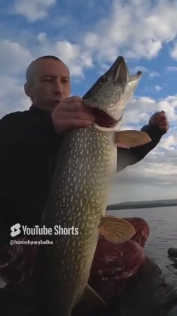 УДАЧНАЯ РЫБАЛКА!