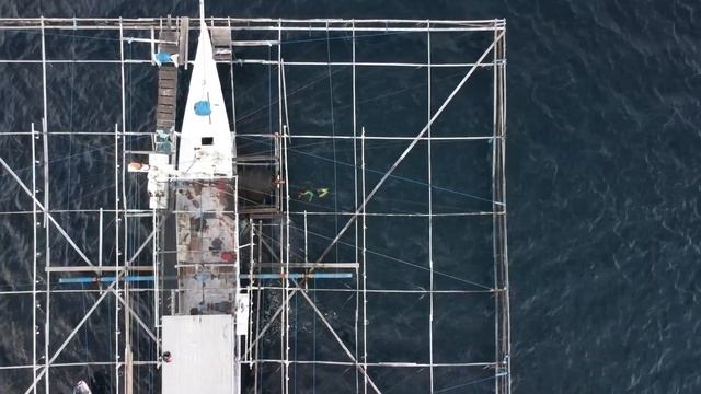 WHALE SHARK OF SUMBAWA - FREEDIVING DRONE FOOTAGE смотреть онлайн