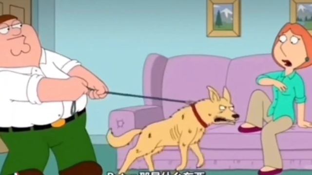 It's a dingo I named him bingo [Family Guy Meme] смотреть онлайн