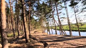 Карамышево - райский уголок Липецкой области. ПОДБОР ПОЛЯНОК