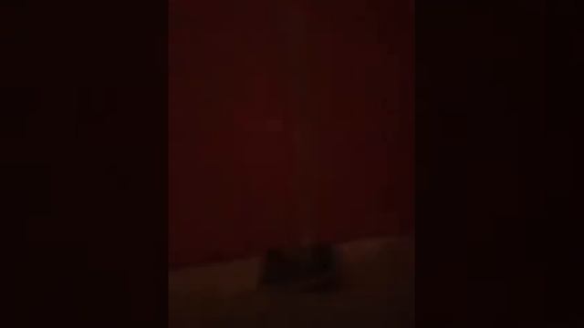 Обзор моей палатки