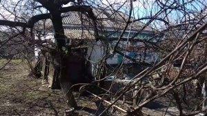 Звенигородка, Черкасская область.