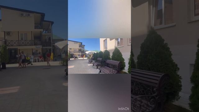 Сукко. Демократия 2023 ( часть 2)