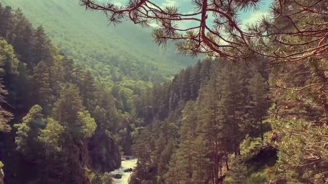 Путешествие в Дигорское ущелье с Иосифом смотреть онлайн