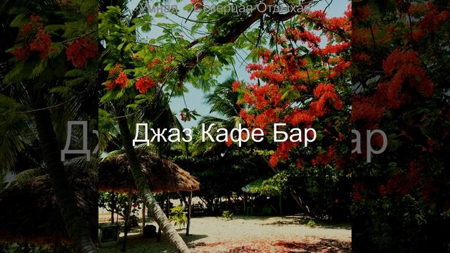 Поразительный Готовка смотреть онлайн