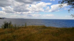 с.Новодевичье(шигонский район, самарская область), июль 2024.