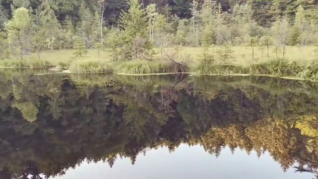 Каменка #shorts #водопад #отдых #путешествия смотреть онлайн