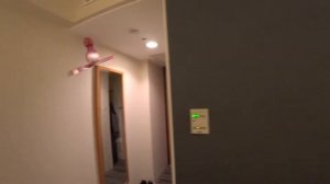 Обзор отеля Sotetsu Fresa Inn Tokyo Kamata