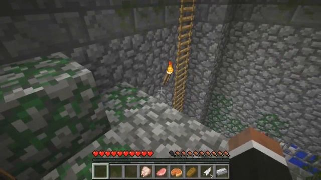 Minecraft, Голодные игры смотреть онлайн
