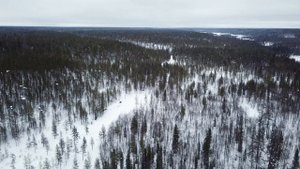 Winter 2