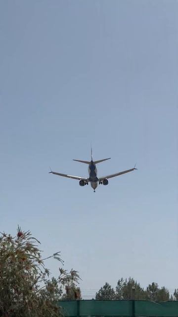 Посадка самолёта в аэропорту Анталии(Турция)☀️ #cabincrew #flight #стюардесса #aviation #stewardess смотреть онлайн