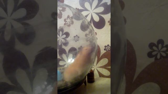 Супер танец химика смотреть онлайн