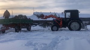 Трактор мтз 82 погрузка навоза зима