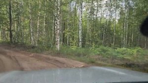 Озеро | Большой Мартын | Дорога #лето #отдых #automobile #озеро #лес