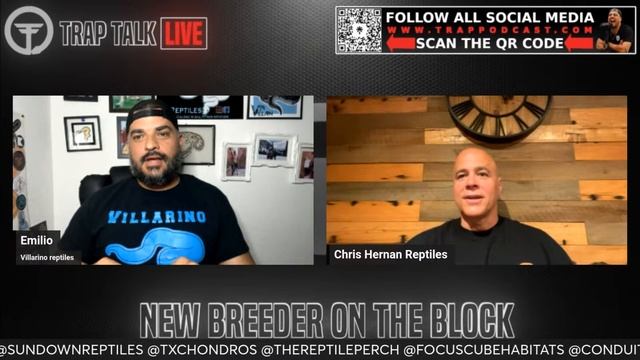 BALL PYTHON MORPHS YOU CAN'T IGNORE | NEW BREEDER ON THE BLOCK W/ CHRIS HERNAN REPTILES