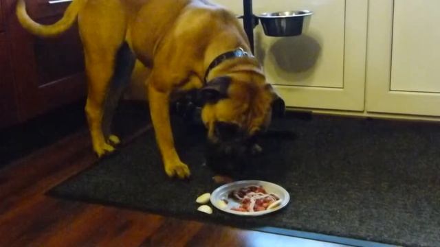 Spanish dinner смотреть онлайн