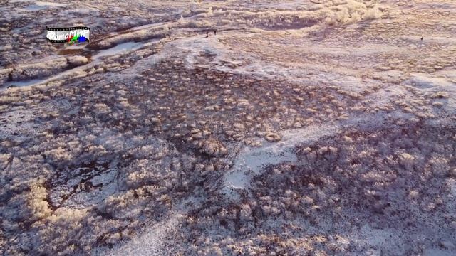 Зимняя тундра смотреть онлайн