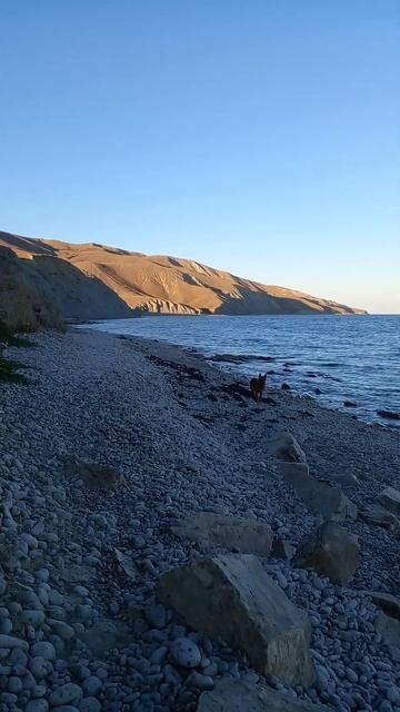 #Crimea #feodosia #море #природа #отдых #video #пляжи #news #дикиеместа #russia #shorts #тренды смотреть онлайн