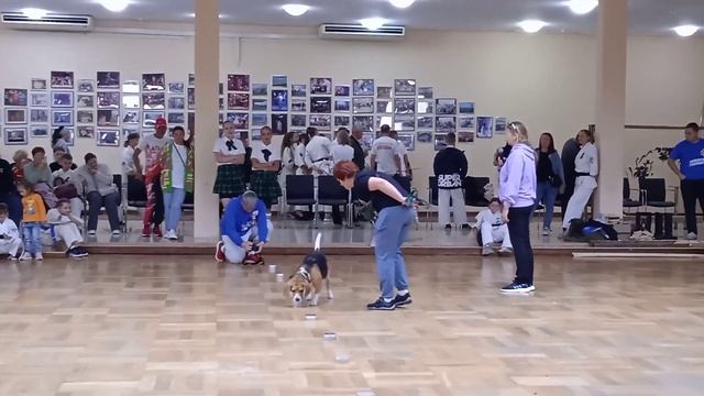 Кинологический клуб Беркут смотреть онлайн