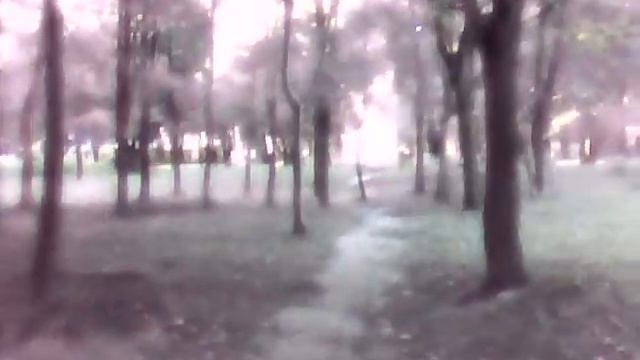 Поход в супермаркет. Часть 1 смотреть онлайн