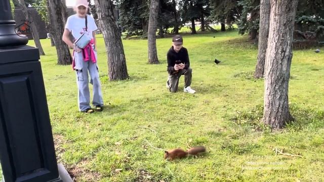 604. Москва-Сити. Парк Победы. Картинг. смотреть онлайн