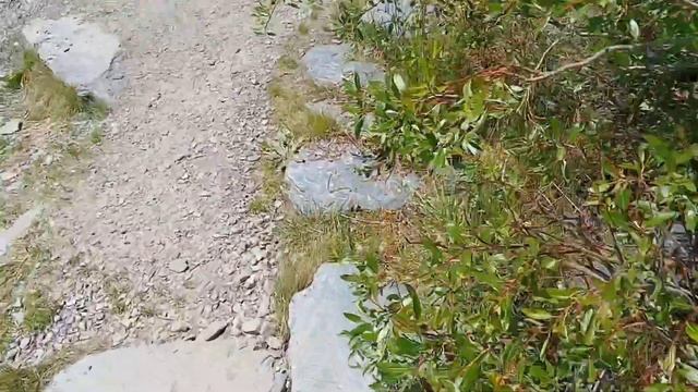 Алтай на вертолете, Белуха. 3 августа 2024 г. смотреть онлайн