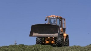 Закладка сенажа в яму - трактор ДТ-75, погрузчик Амкодор 332В, а так же Т-150К, МТЗ-80 и Камаз 5511