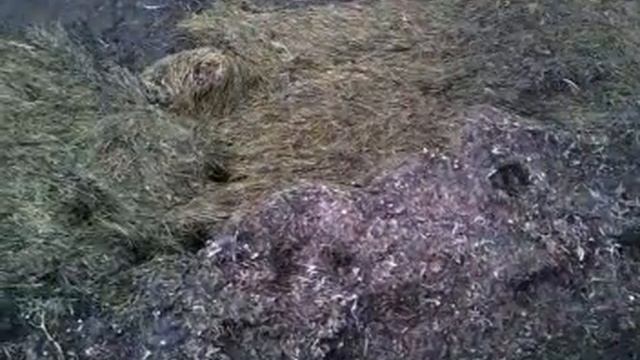 в Скадовске детский пляж,отличный воздух))С запахом вони(( смотреть онлайн