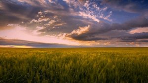 ЗА РЕКОЙ-слова Надежды Шкариной музыка исполняет Юрий Старцев баян