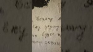 Его рост всего-то 168 см🧐 #есенин #англитер#питер #смертьесенина#russia #россия #отель