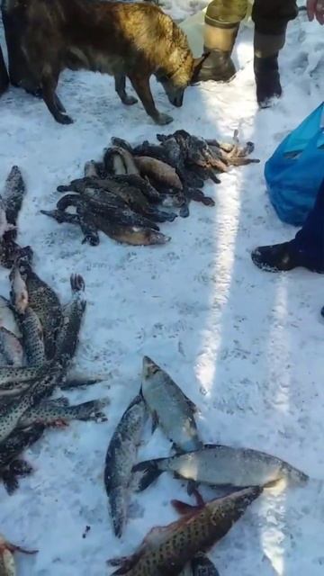 рыбалка , талакан смотреть онлайн