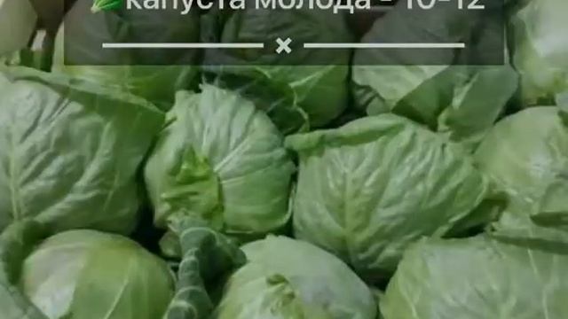 🍆🍅Ціни на овочі - Центральний ринок місто Херсон
