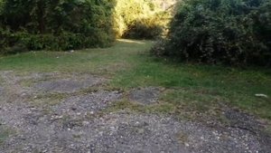 2часть. ГУ "АБНИЛОС"-там, где растут секвойи. г. Очамчира. Абхазия.