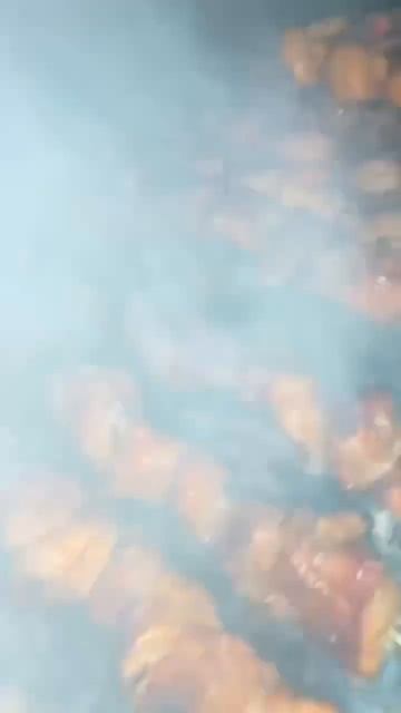 Армянский шашлык Воронеж

#шашлыкворонеж