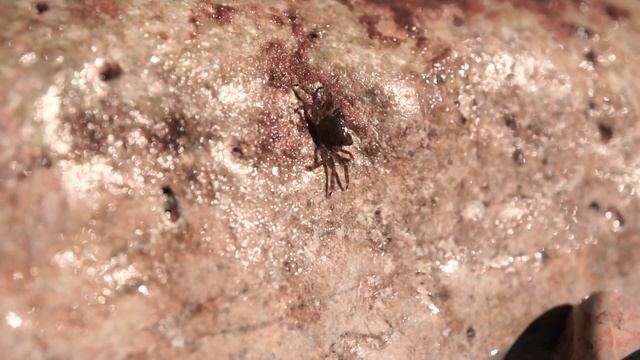 Райская бухта и Фазелис. Октябрь 2014 смотреть онлайн