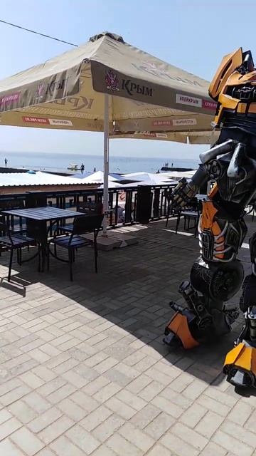 Приморский. Бамблби! смотреть онлайн