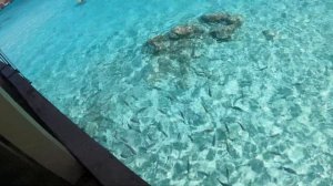 Мальдивы лучший отдых. Отель Radisson Blu Maldives 2022(4)