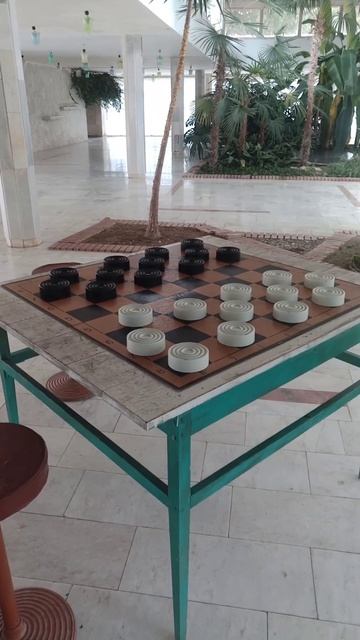 Дом отдыха Псоу Абхазия Цандрыпш большие игральные шашки смотреть онлайн