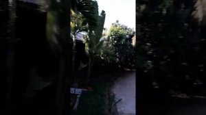 Отель Ельвуд резорт фукуок